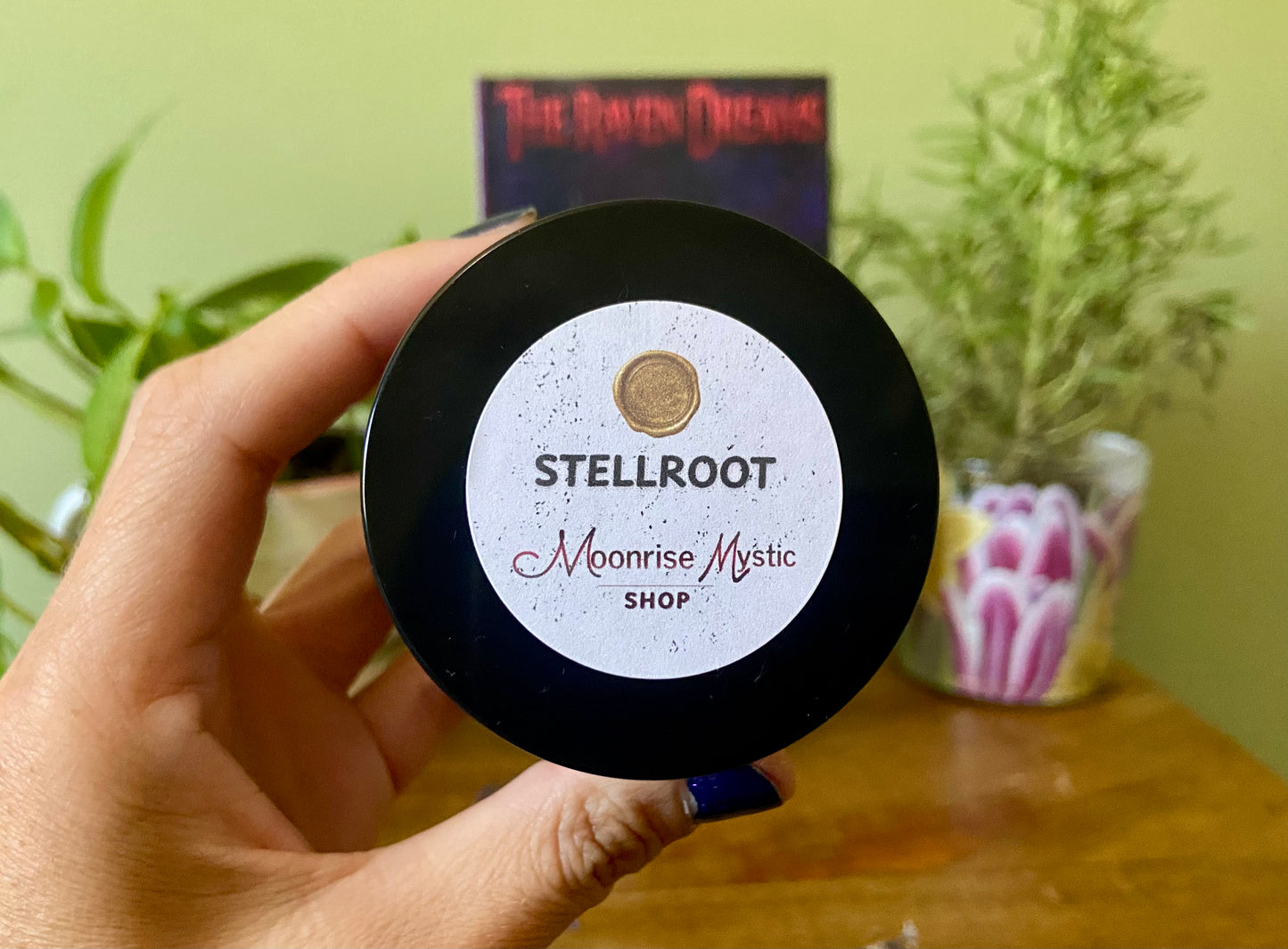 Stellroot the connection spell - potion from The Raven Dreams